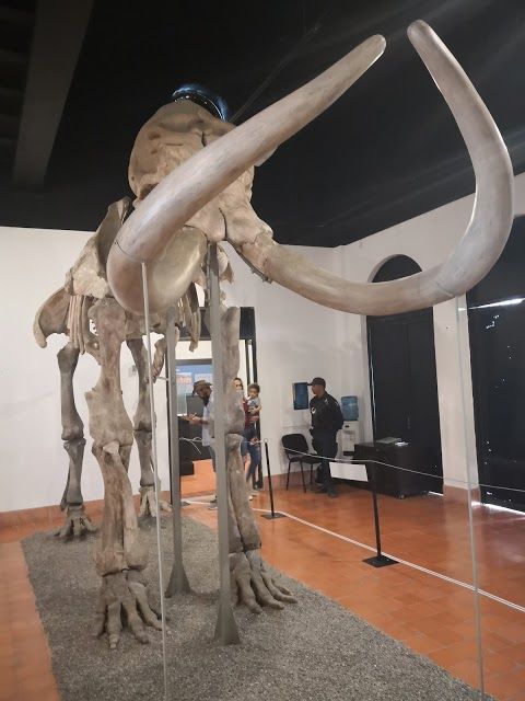 Museo arqueológico de Mazatlán